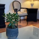 Appartement La Mansarde
